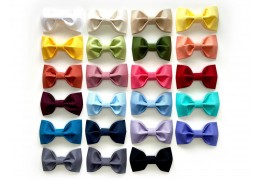 What Color Bow Tie